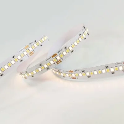 CCT color change tunable white LED strip light