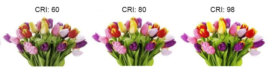 Different CRI LED light rendering comparison