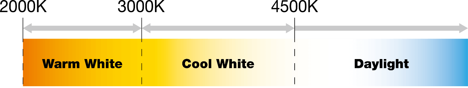 COOL WHITE VS WARM WHITE